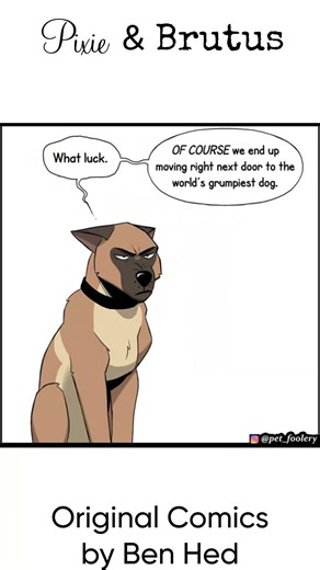 Pixie and Brutus Short Dubs - Dexter #comics #funny #pixieandbrutus