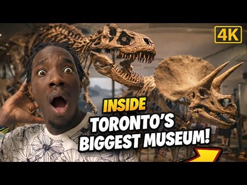 INSIDE Toronto’s Biggest Museum 🇨🇦 | Royal Ontario Museum Tour (4K)