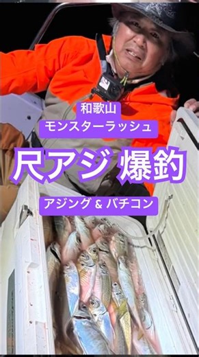 Ave. Huge catch of large horse mackerel!! Whether you're using ajing (light rockfishing) or bachi...