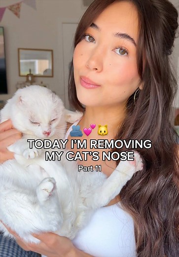 Removing My Cat's Nose: Deciding on Surgery for Squamous Cell Carcinoma