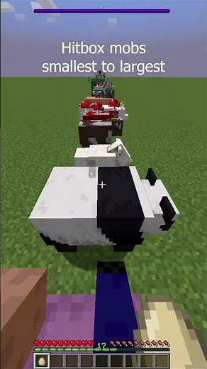 Minecraft Hitbox mobs from smallest to largest