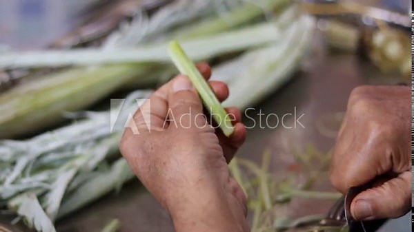 Traditional Hand-Cleaning Method for Cardoon – Cardoon Culinary Guide: How to Cook With Cardoons, Celery-Like Stalks, Cynara cardunculus Preparation