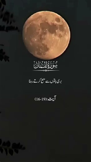 Surah luqman quraan urdo translate #shortsvideo