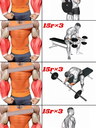 Effective Forearms Workout at Home for Strength