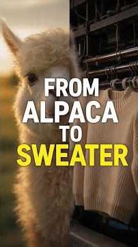 Inside an American Alpaca Wool Factory 🧶 From Farm to Sweater #Shorts