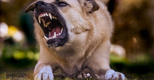 “Mau humor” ou “mal humor”: qual é o certo? | Dúvidas de português