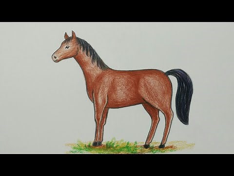 Horse draw || How to draw Horse || Horse drawing || kids drawing (drawing tutorial)