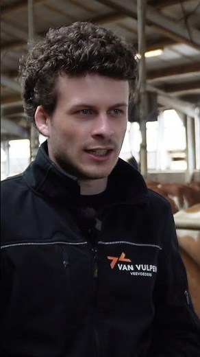 Aardappelen in een rundveerantsoen: 3 tips