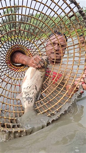 Wow! Amazing Polo Fishing Videos🐟Best Big Fish Catching🐟Primitive fishing #fish #shorts #india