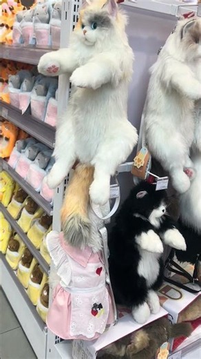 Ketakutan di mall?? #raisya #raisyadiary #funny #shortvideo #kucing