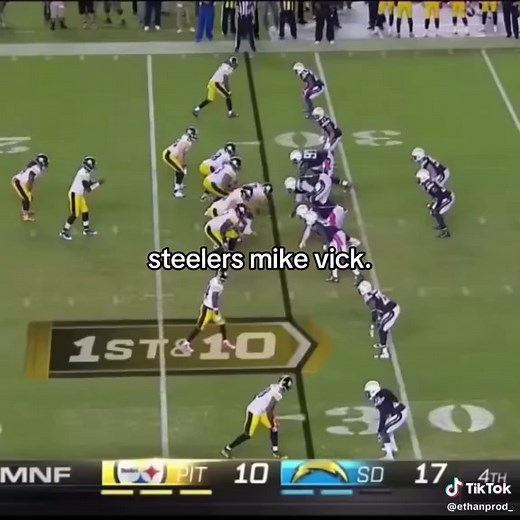Best Moments of Mike Vick in the NFL