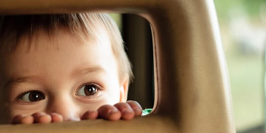 7 Domains of Early Childhood Development