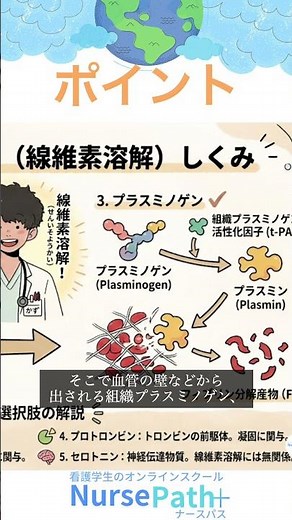 看護師国家試験。血液凝固徹底解説