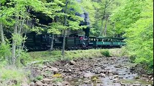 Shay locomotives have been climbing the steep grades of Cass hill for over 120 years. Thanks to our dedicated shop crew, these powerful locomotives are able to operate just as hard and reliably as the day they were built. When you ride the Cass Railroad you’re not just experiencing the beauty of the Mountain State, you’re also witnessing one of the greatest shows on rails! For more information visit us at www.casstrain.com | Cass Scenic Railroad