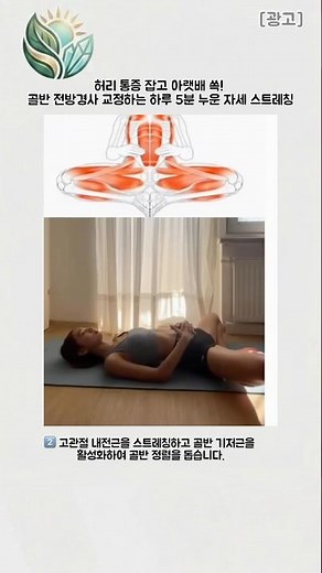 허리 통증 잡고 아랫배 쏙! 골반 전방경사 교정하는 하루 5분 누운 자세 스트레칭