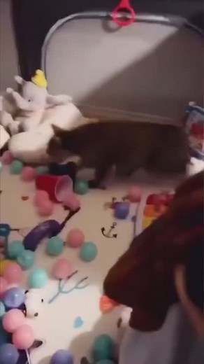 Statement Marine on Reels