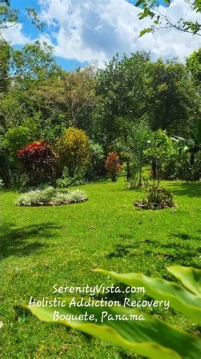 Beautiful Flowers & Blue Sky in the Garden at Serenity Vista | Boquete, Panama