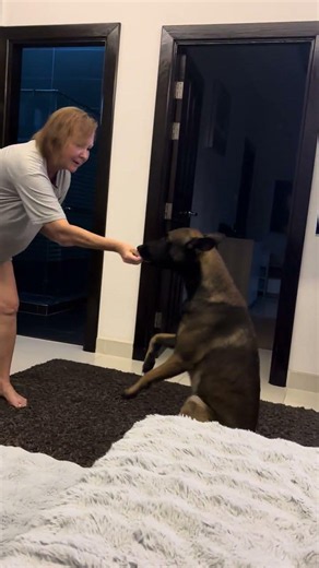 Charlie's High-Five Challenge! / Charlie Masters the High-Five!