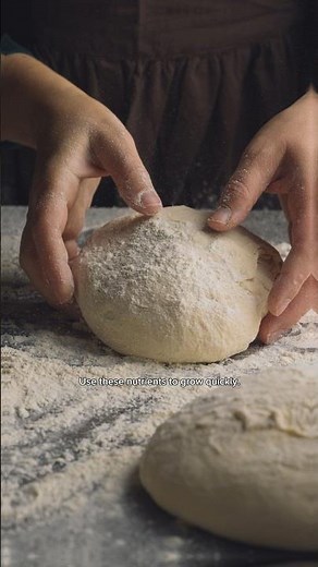 What Is Yeast & What Is It Used For | Godfather-rix