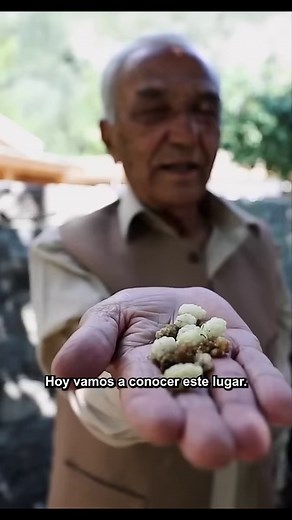 la verdad sobre el origen de las extensiones de cabello. | Descubriendo con Joe Hattab