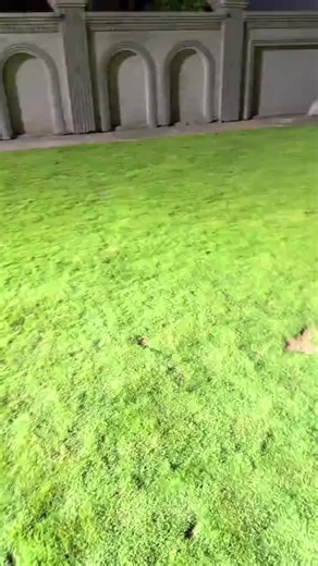 MR PATTLO #foryou #varil #foryoupage❤️❤️ #unfreezemyaccount