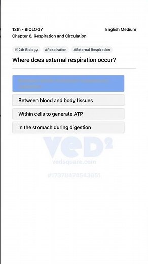 12th Biology Respiration Where Does External Respiration Occur