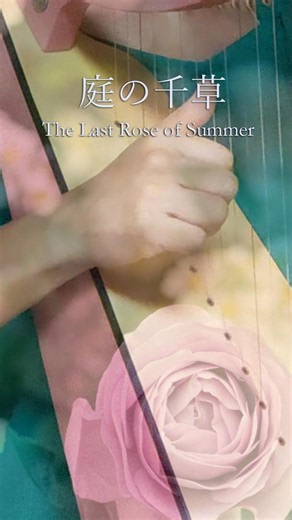 『庭の千草（夏の名残の薔薇）』🌹ケルティックハープで弾く夏の思い出【音のある風景】ハープ演奏│ The Last Rose of Summer