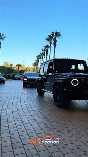 Allo Location DZ: Cars for Rent in Chlef