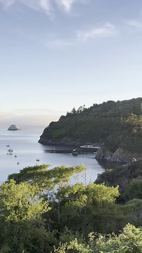 3.4K views · 127 reactions | Trinidad showing why it’s one of the...