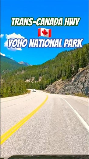 Driving Trans-Canada Hwy Yoho National Park #canada #shorts