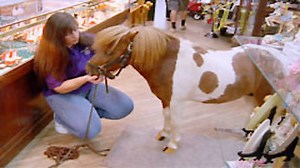 Watch Cajun Pawn Stars Season 3 Episode 7 - Gone With the Pawn