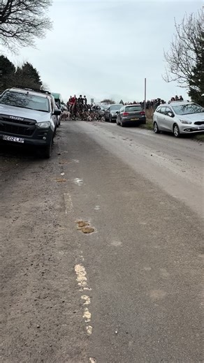 The Timeless Sound of Hounds in Nature