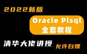 2022最新Oracle plsql的安装卸载，清华大佬讲授，快速入门到精通！史诗级教程亲测有效！！