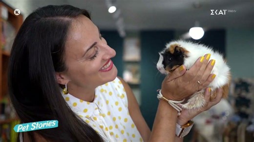 Όλα όσα πρέπει να ξέρετε αν θέλετε να υιοθετήσετε ένα ινδικό χοιρίδιο