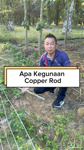 Apa kegunaan copper rod untuk pagar elektrik? #pangelectronics #profence #pagarelektrik #pagarkebun | Benut Electronic Specialists
