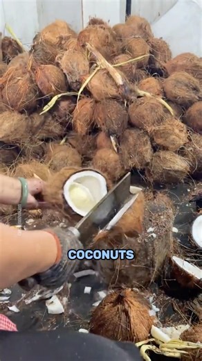 How Coconut Oil Is Made From Fresh Coconuts