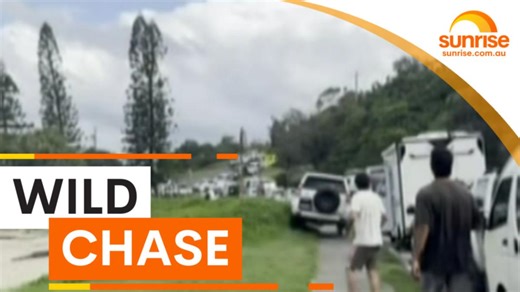 Wild Tweed heads beach chase