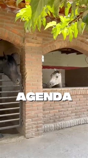 En Rancho el Capricho, la estancia es solo para ti y tu grupo! Casa de campo privada, perfecta para re conectar con lo que realmente importa. 🔥área de fogata 🎶exclusivo sonido Bose 🥩asador 🏠cabaña y loft para hasta 17 personas 👙Alberca (abrimos temporada el fin de semana de pascua) Area para acampar cupo limitado a 30 personas Servicios con costo adicional: Brinca Brinca Paseo a Caballo Taquiza Desayuno Vive la experiencia del campo con todas las comodidades. 📅 Reserva tu próximo descanso 