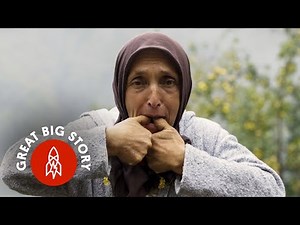 The Whistling Bird Language of the Turkish Mountains