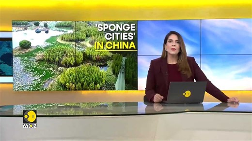 WION Climate Tracker: China's water absorbing 'sponge city'