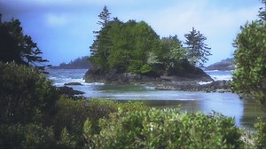 12K views · 250 reactions | Join us in Tofino, make Crystal Cove...