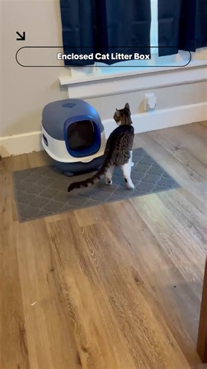 Cat Litter Box With Drawer Design: The Ultimate Essential