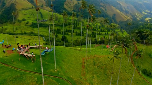 Colombia: Paisajes del Valle de Cocora