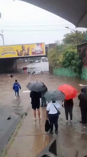 10/10 for his excellent form in the diving competition in Nkomo, Pretoria West, Gauteng last week A totally scientific retrospective of last week’s weather chaos and Facebook randomness (plus the juicy bits we forgot to post) From sideways rain that slapped your soul, to skies that couldn’t decide if they were angry or just dramatic—last week was a meteorological soap opera. And while we were busy dodging lightning and decoding cloud sass, Facebook was quietly collecting a treasure trove of weir