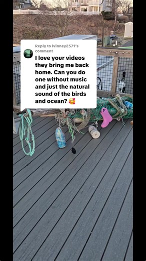 Chilly Morning at the Harbor: A Cape Cod Adventure