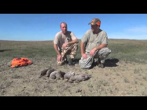 Best Grouse and Prairie Chicken Hunting