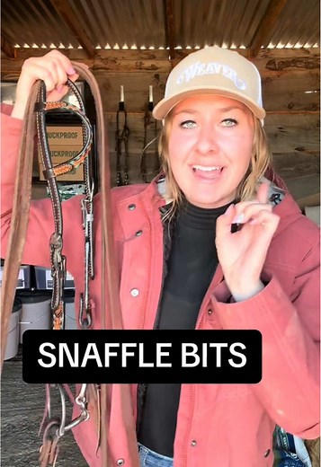 Snaffle Bit Education for Equestrians