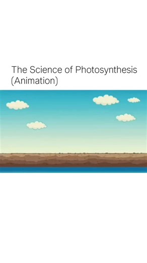technology & engineering on Instagram: "​Watch this simple and clear animation to understand the process of photosynthesis! See how plants use sunlight, water (\text{H}_2\text{O}), and carbon dioxide (\text{CO}_2) to create their own food (sugar) and release oxygen (\text{O}_2) as a vital byproduct. Learn the basics of how plants breathe and thrive! ​#photosynthesis #science #biology #plantscience #animation #education #carboncycle #science #medical #viral"