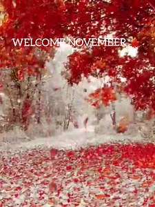 8.8K views · 1K reactions | HELLO NOVEMBER | Magical World | Facebook