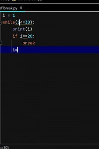 use of break statement in python